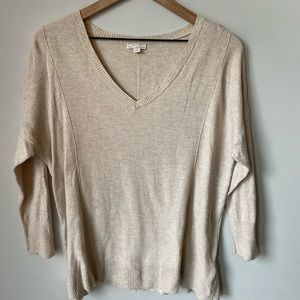 V Neck Light Weight Sweater